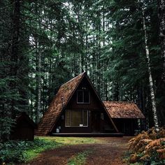 a small cabin in the middle of a forest with lots of trees and grass around it