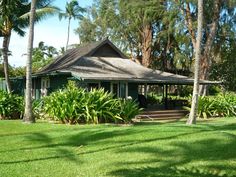 a green house surrounded by palm trees and greenery on a sunny day with blue sky