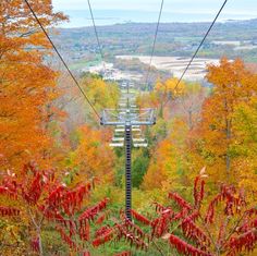 a view from the top of a ski lift in autumn