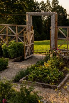 an outdoor garden area with various plants and flowers in the foreground, surrounded by wooden fences