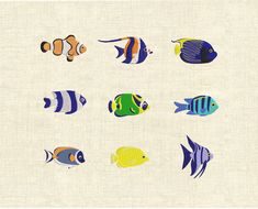 a group of different colored fish on a white background