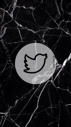 a black marble wall with a white bird on it's face and the word twitter written