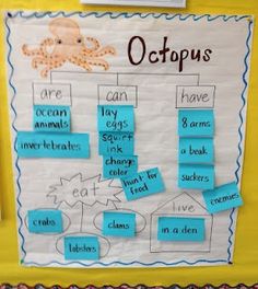 a bulletin board with an octopus and other words on it that are attached to the wall