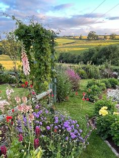 the garden is full of colorful flowers and plants