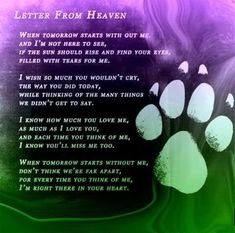 a green and purple background with an image of a dog's paw