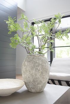 a white vase with green plants in it next to a bowl on a counter top