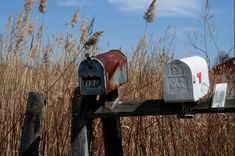 two mailboxes are sitting on a wooden post in front of some tall grass