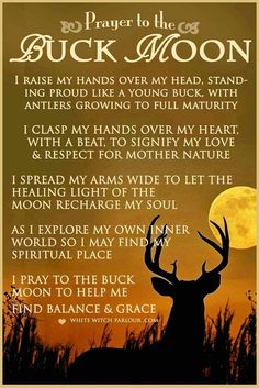 a poem written on the back of a deer's head in front of a full moon