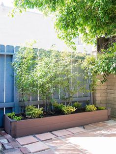 an outdoor garden with trees and plants growing in the planter boxes on the side of the building