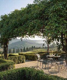 an outdoor dining area with tables and chairs under a canopy over a garden filled with trees