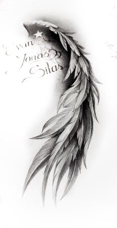 a black and white drawing of a feather