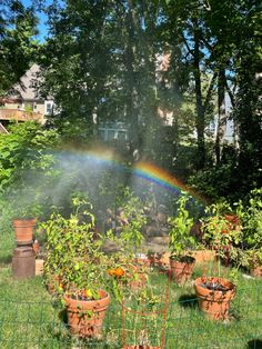 a rainbow is coming out of the ground in a garden with many potted plants