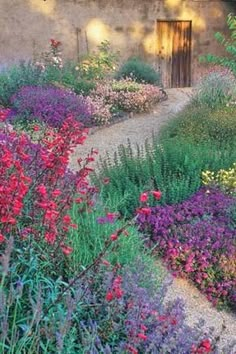 the garden is full of colorful flowers and plants