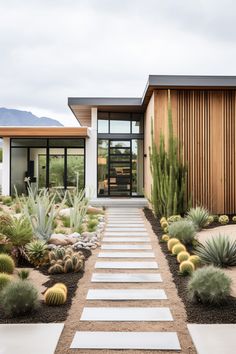 a modern house with cactus and succulents in the front yard, along with stone steps leading up to it