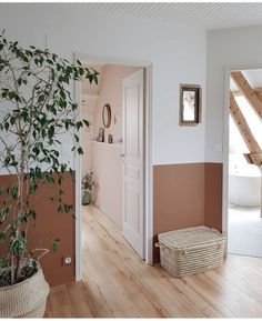 an open door leading to a bathroom with a plant in the corner and a basket on the floor