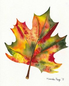 a watercolor painting of a maple leaf