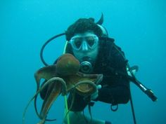 a scuba diver with an octopus in his hand