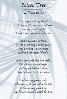 a poem written in the shape of a palm tree with shadow on it's side