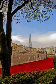 Saatchi Art Artist ; Photography; "Tower of London Poppies Blood Swept Lands" #art Remembrance Sunday