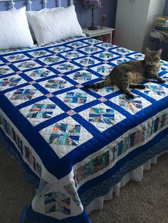 a cat laying on top of a blue and white bedspread in a bedroom