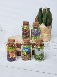 four glass jars filled with different types of plants and rocks on a wooden table next to a cacti plant