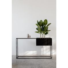 a plant is sitting on top of a black and white table with two vases