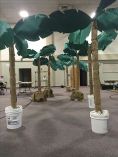 several buckets with trees in them on the floor