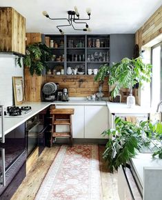 a kitchen with lots of plants in it