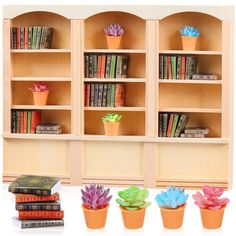 there are many bookshelves with plants in them