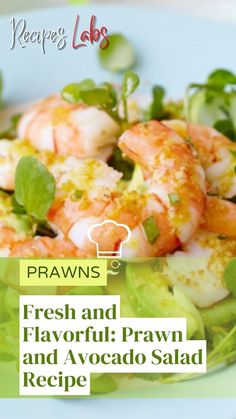 Fresh and Flavorful: Prawn and Avocado Salad Recipe Prawn And Avocado Salad, Short Recipes, Avocado Salad Recipes, Seafood Recipes Healthy, Lobster Recipes, Avocado Recipes, Avocado Salad