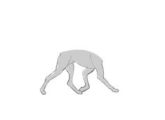 a drawing of a dog standing on its hind legs and looking down at the ground