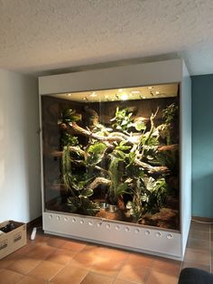 a large fish tank filled with lots of green plants and trees in the middle of a room