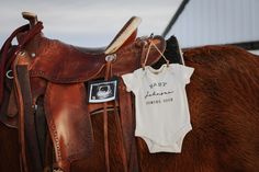 a brown horse with a white shirt on it's back next to a saddle