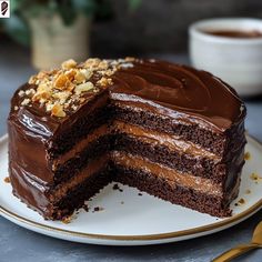 there is a chocolate cake on the plate with one slice cut out and ready to be eaten