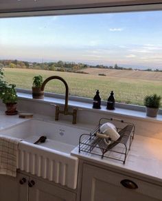 a kitchen sink sitting under a window next to a potted plant on top of a counter