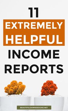 an image of three cups with flowers in them and the words 11 extremely helpful income reports