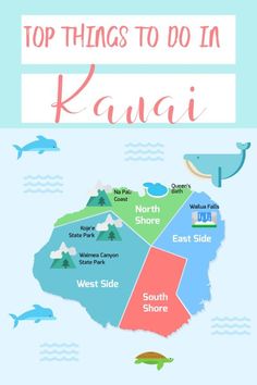 the top things to do in kauai, hawaii infographical map with dolphins and whale