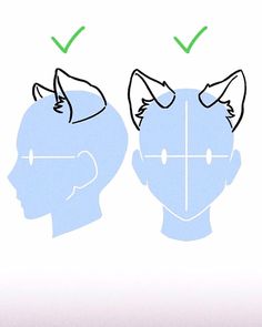 an image of two heads with arrows pointing to the opposite side of their head and one has green ticks on its ears