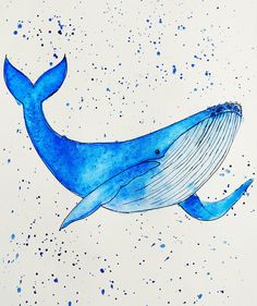 a drawing of a blue whale in watercolor on white paper with splatters