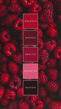 some raspberries are in the middle of a color scheme with red and black