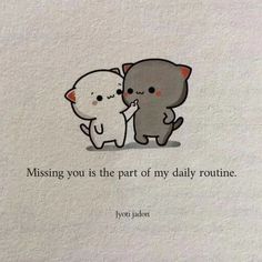 two cats hugging each other with the caption missing you is the part of my daily routine