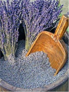 two shovels and some lavender flowers in a bucket