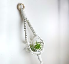 a plant in a glass vase hanging from a hook on a wall with a rope attached to it