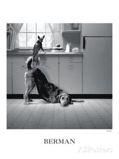 a black and white photo of two dogs standing on their hind legs in the kitchen