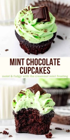 two chocolate cupcakes with green frosting on top