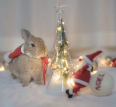 a small rabbit sitting next to a christmas tree and other holiday decorations on a table