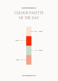 a poster with the words'color palette of the day'in white and red