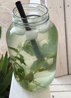 a mason jar filled with water and leaves