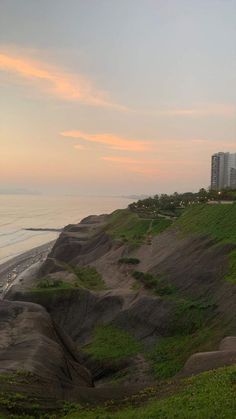 a bench sitting on top of a lush green hillside next to the ocean with tall buildings in the background