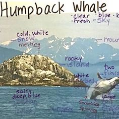 the humpback whale is jumping out of the water with words written below it